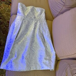 Lord & Taylor Strapless Silver Dress